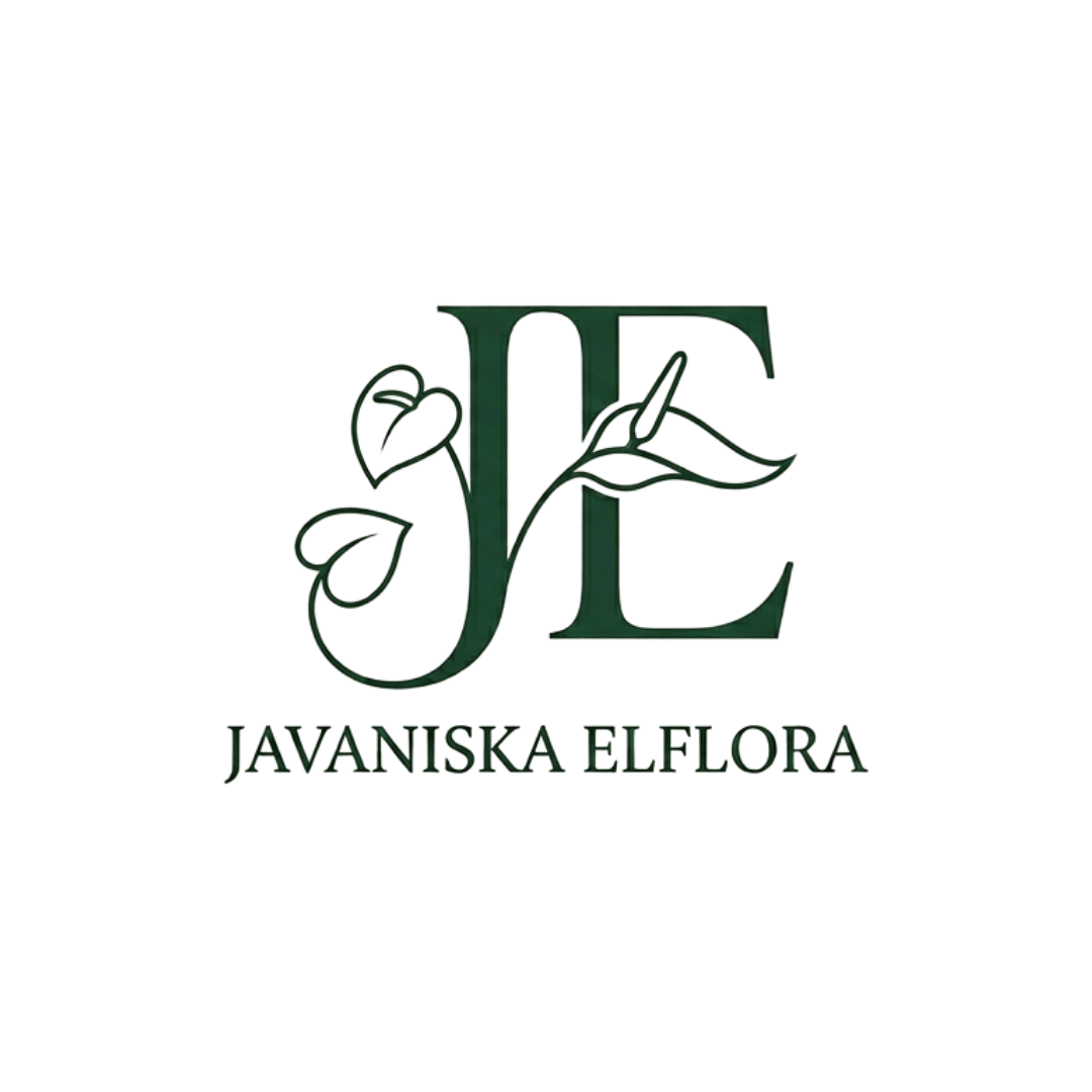 Javaniska Elflora – Exotic Seeds and Plants, Sourced From Indonesia