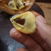 Durio dulcis