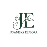 Javaniska Elflora - Exotic Seeds and Plants, Sourced From Indonesia