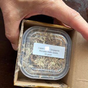 Javaniska Elflora's Customer Testimony